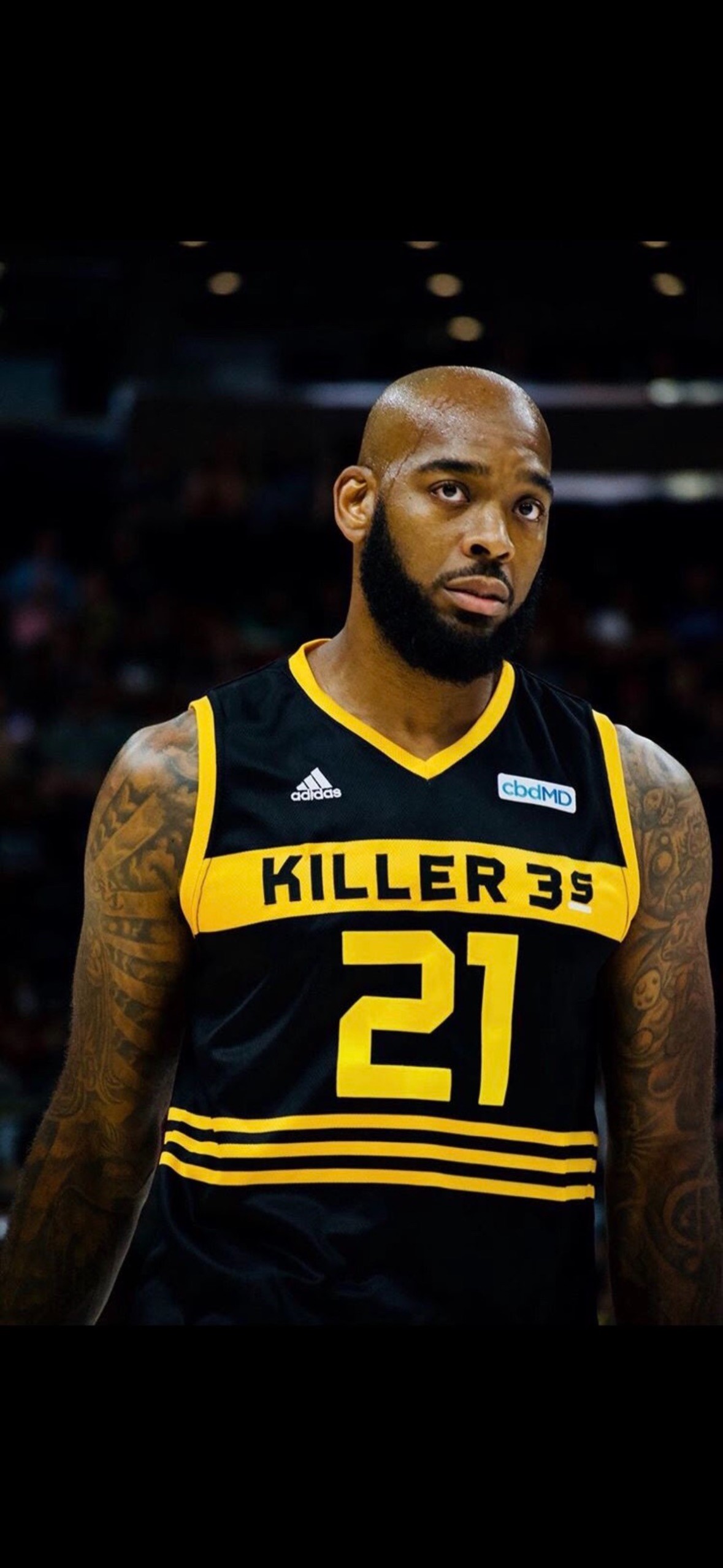 Josh powell nba discount